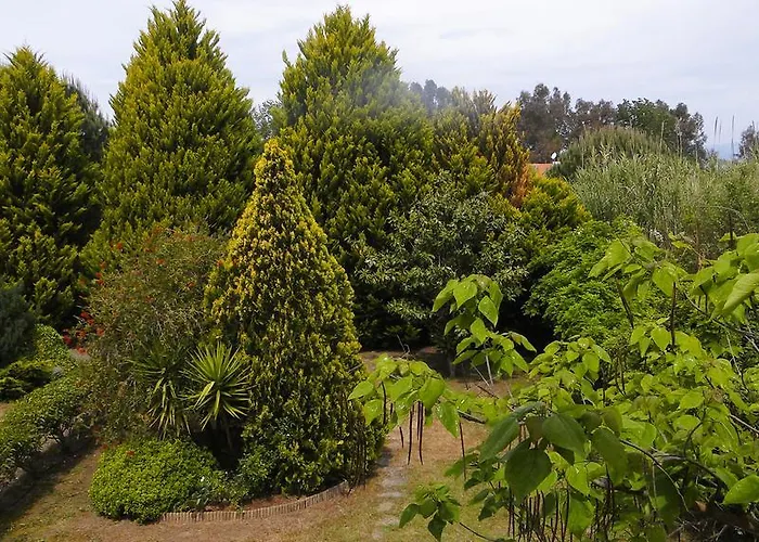 εva's House Βουρβουρού